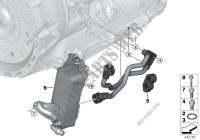 Tub.radiad.aceite trans./interc.calor para BMW 325d